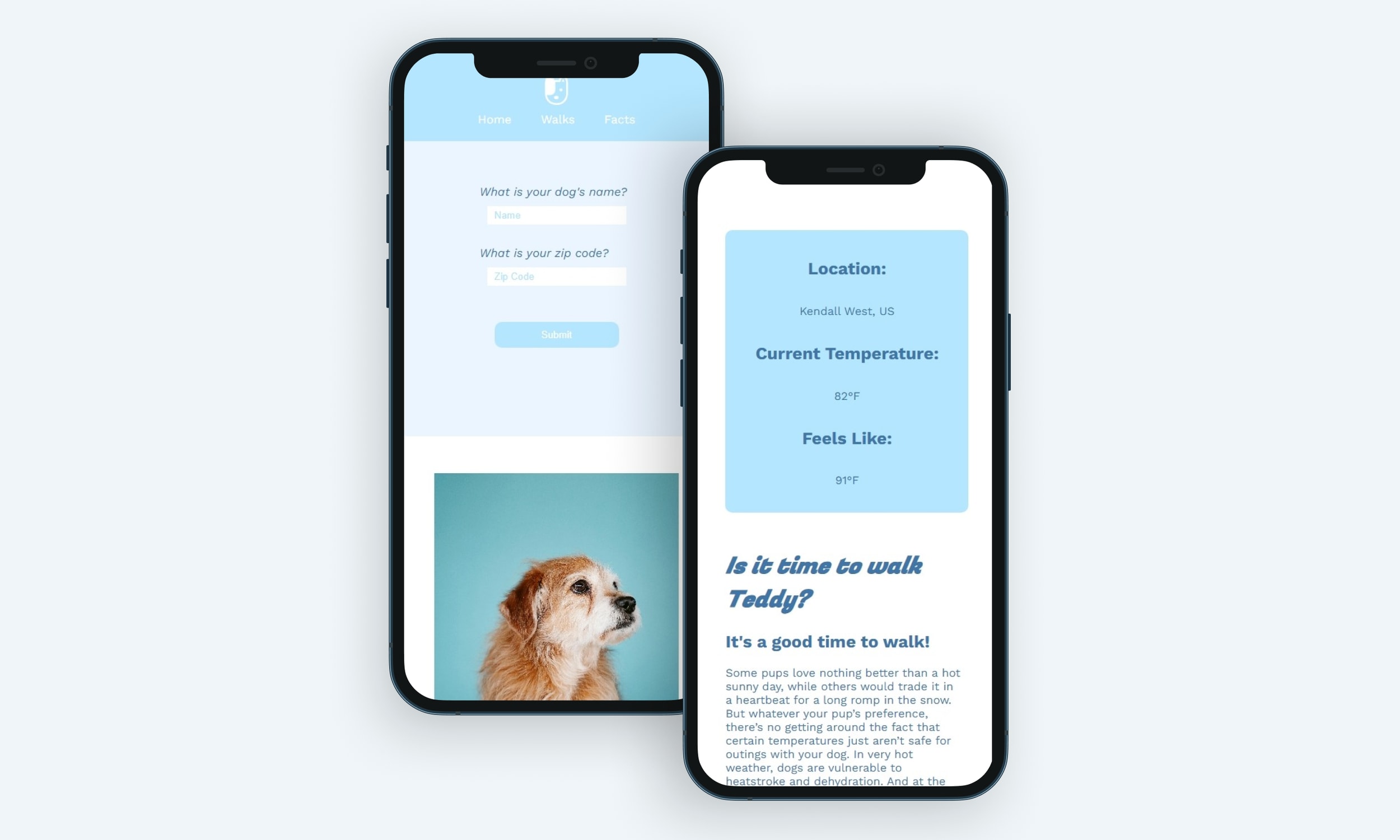 Desktop and mobile mockups of the Pawse weather app showing a sunny forecast and a walk-safety recommendation for a dog.